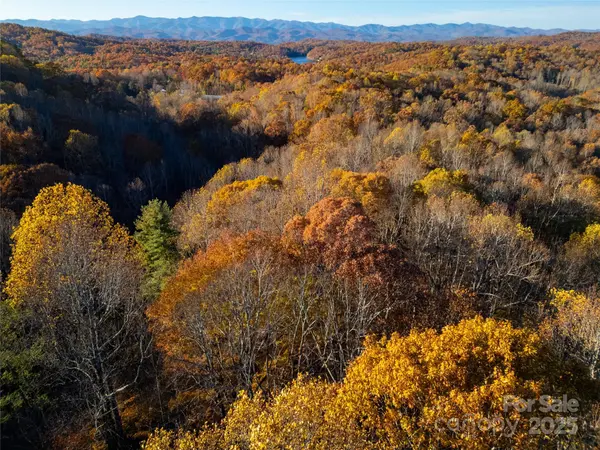 Lot 342 Severy LN #342-A, Brevard, NC 28712