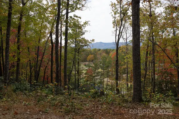 154 South Slope LN #18, Old Fort, NC 74848