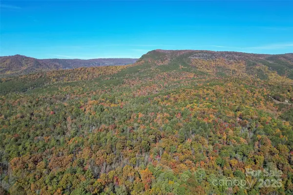 2575 Wolf Pit RD, Morganton, NC 28655