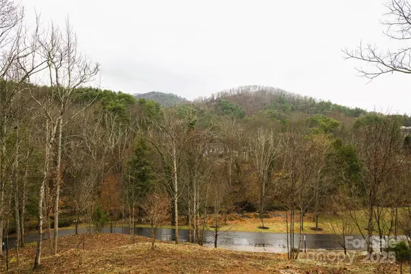 18 Snap Dragon CT, Asheville, NC 28804