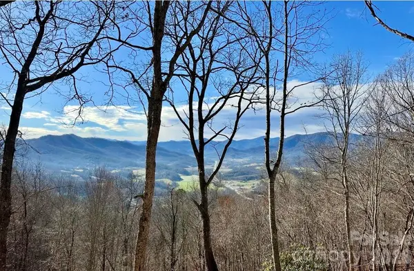 65 Thumper TRL, Waynesville, NC 28785
