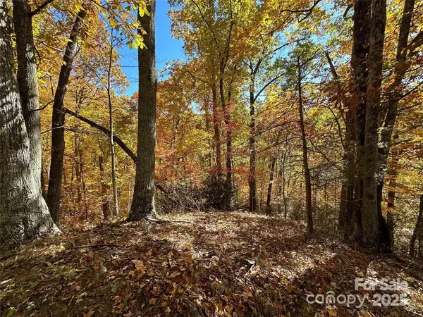 5 Hidden Valley RD, Clyde, NC 28721