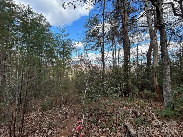 0 Raleigh DR #2, Lake Lure, NC 28746