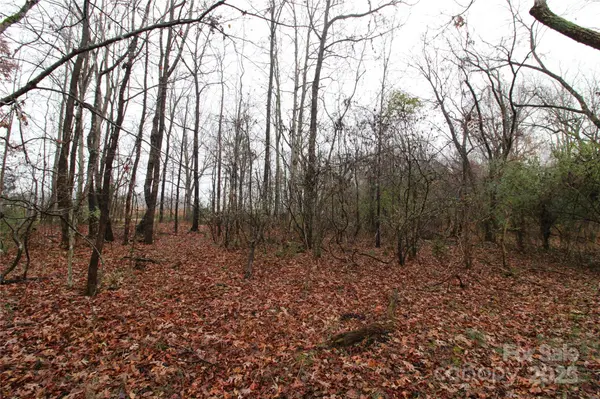 3+/-AC Eaker RD #LOT 7, Kings Mountain, NC 28086