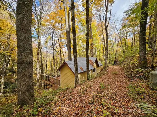 25 Hollow Log RD, Burnsville, NC 28714