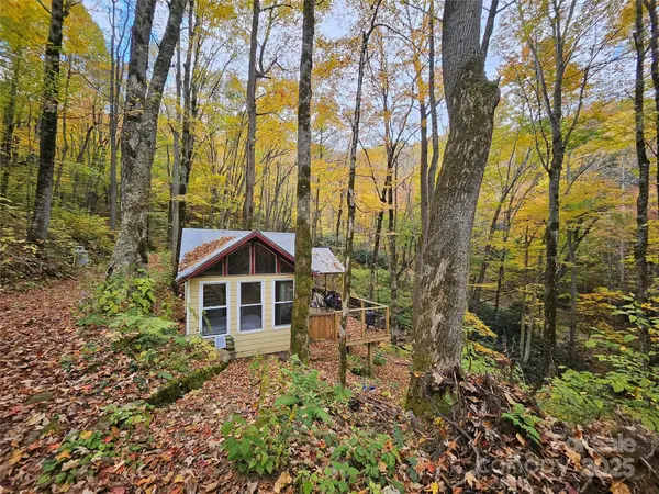 25 Hollow Log RD, Burnsville, NC 28714