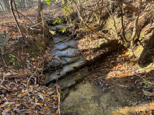 000 Small Creek RD, Brevard, NC 28712