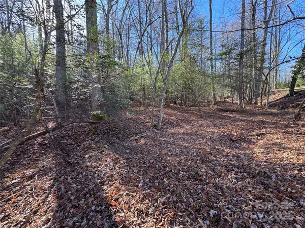 000 Small Creek RD, Brevard, NC 28712