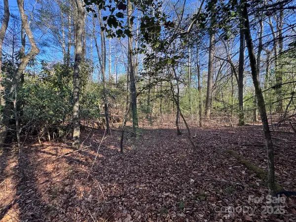 000 Small Creek RD, Brevard, NC 28712
