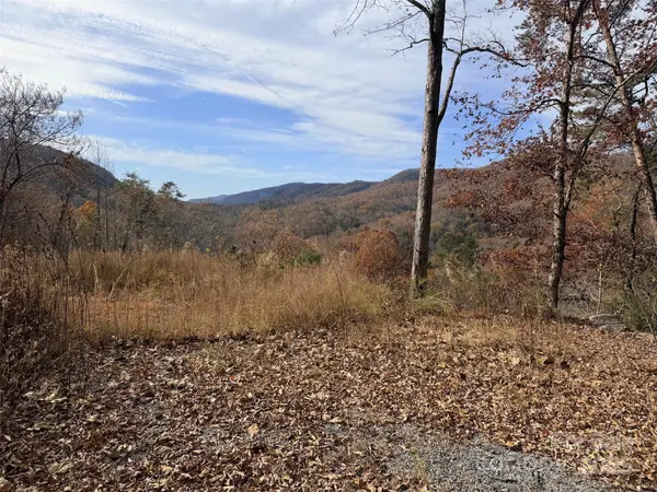 148 Rocky Mountain DR, Lake Lure, NC 28746