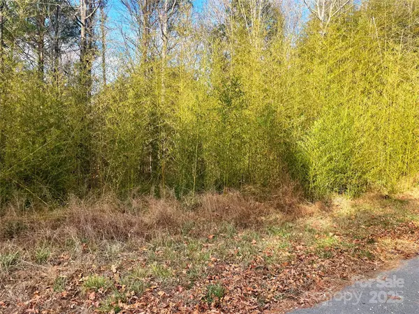 Lot #7 Winnie Hole LN #7, Richburg, SC 29729
