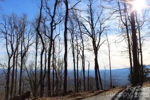 Lot 58 White Oak Mountain RD #58, Columbus, NC 28722