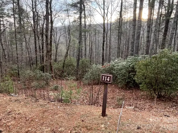 Lot 114 Huckleberry Ridge LN, Zirconia, NC 28790
