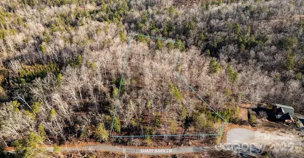 49 Shady Bark LN, Rutherfordton, NC 28139