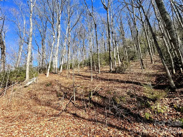 99999 Carpenters Son LN, Hendersonville, NC 28792