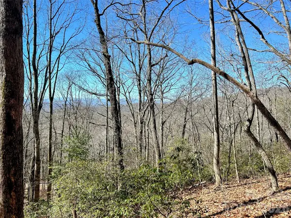 99999 Carpenters Son LN, Hendersonville, NC 28792