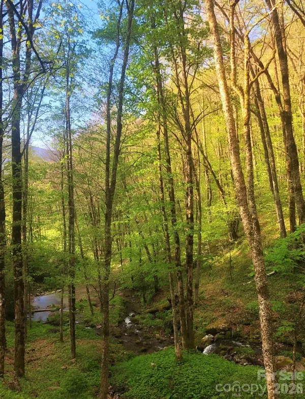 213 Hope CIR, Waynesville, NC 28786