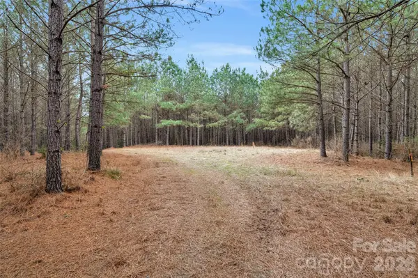 00 Woods Ferry RD, Carlisle, SC 29013