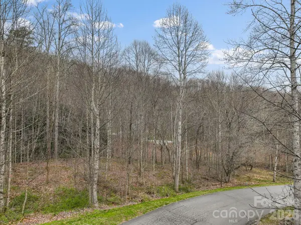 9999 Talking Rock LN, Leicester, NC 28748