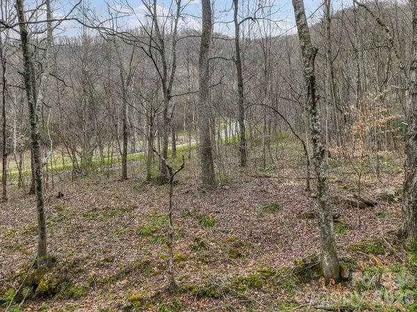 9999 Talking Rock LN, Leicester, NC 28748