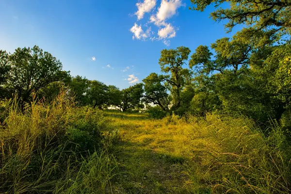 TBD CR 104, Llano, TX 78643-0000