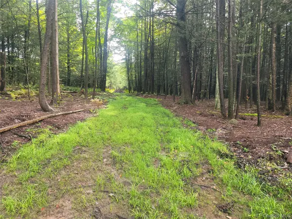 361 Ahrens RD, Parksville, NY 12768