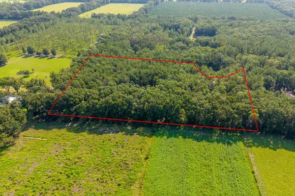 6351 NW 15TH ST, Bell, FL 32619