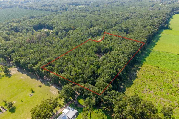 6351 NW 15TH ST, Bell, FL 32619