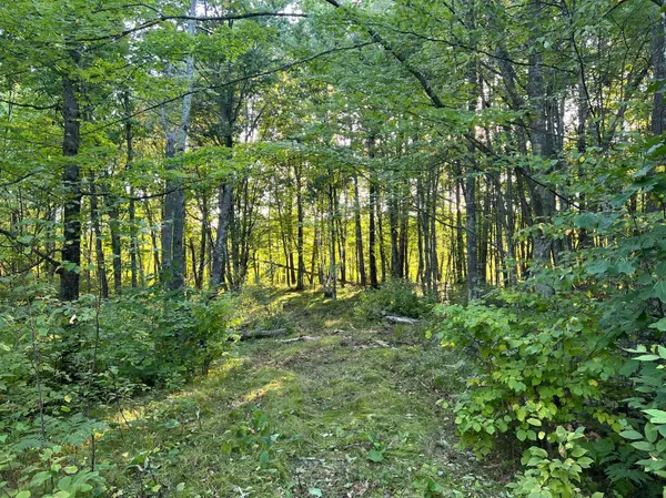 000 Dell Rd, Finlayson, MN 55735