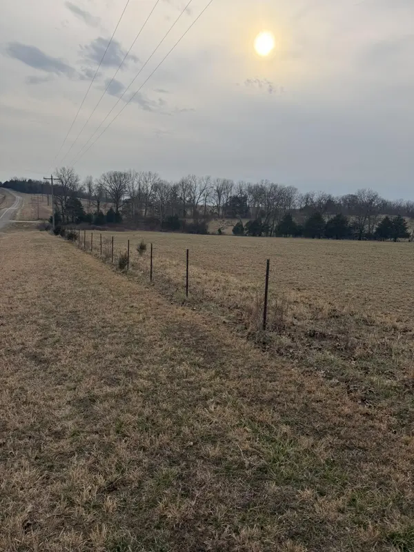 141 Co Rd 329, Dora, MO 65637