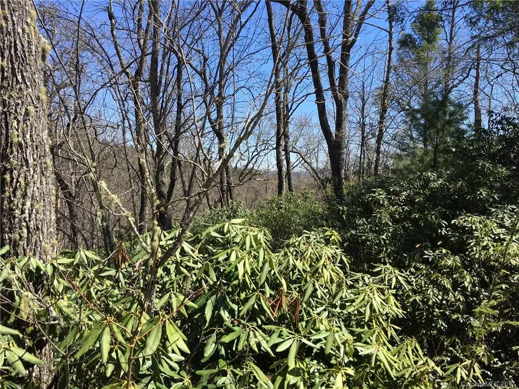 M80 Pine Mountain TRL #M80, Brevard, NC 28712