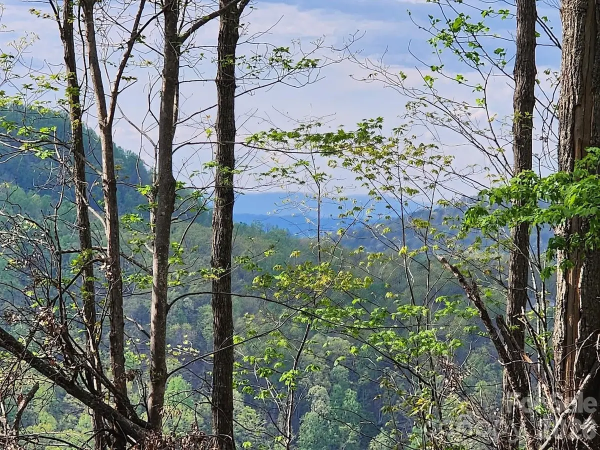 79 Longview TRL, Bostic, NC 28018