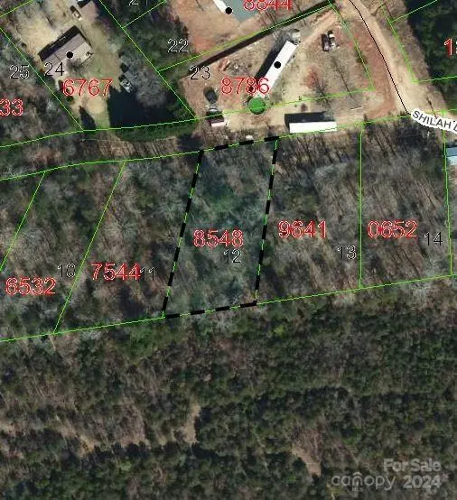 TBD Biggerstaff LOOP #lot #12, Nebo, NC 28761