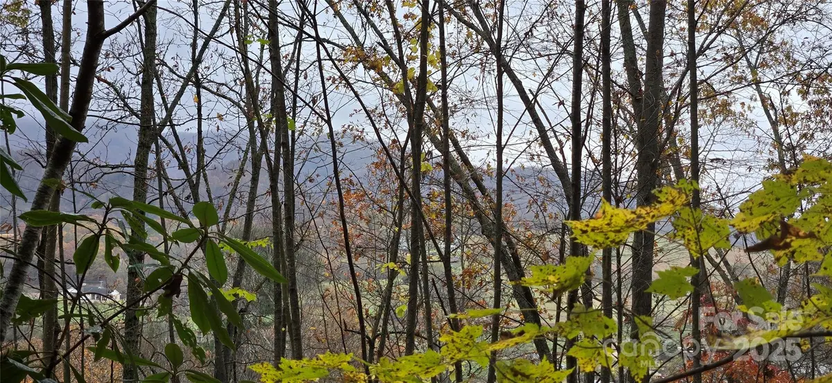 62 Turkey Hollow CT, Waynesville, NC 28785