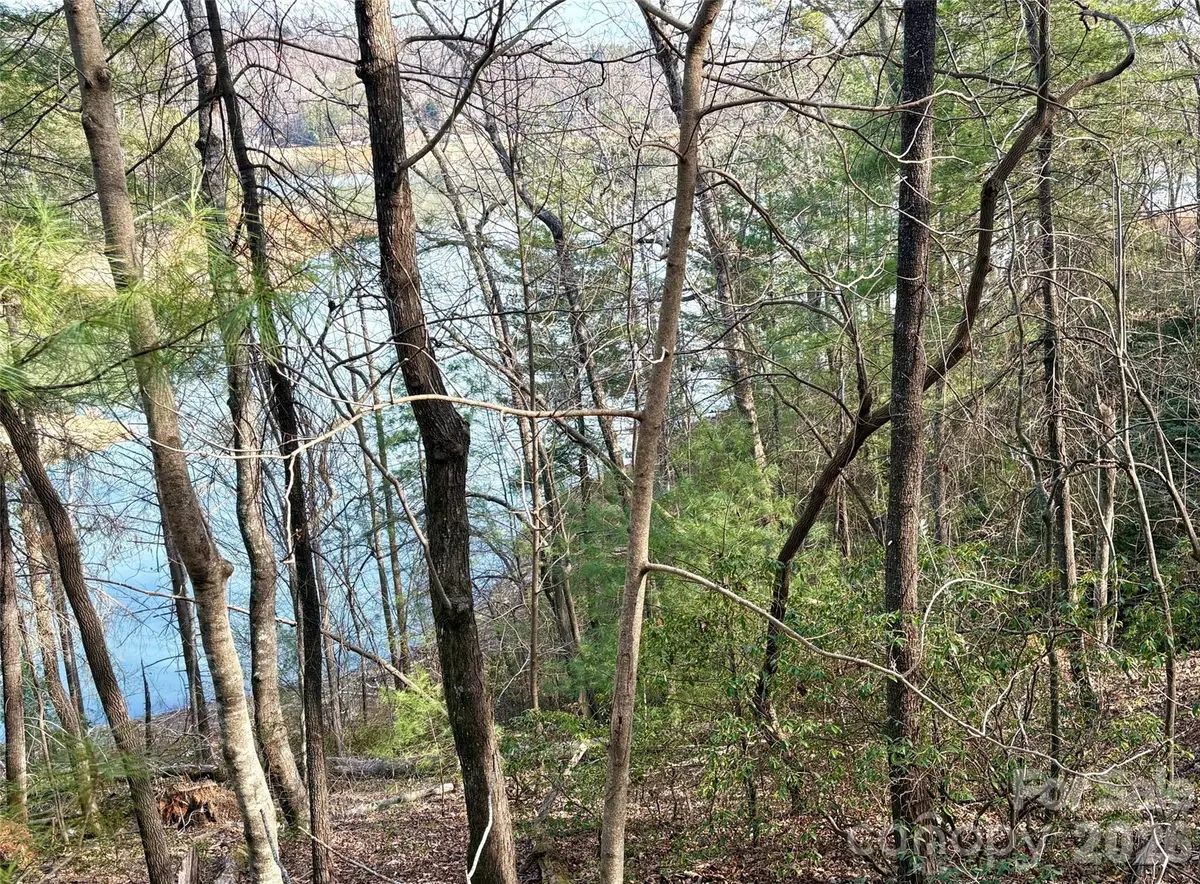 0 Falls View TRL #lot 23A, Lake Lure, NC 28746