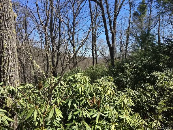 M80 Pine Mountain TRL #M80, Brevard, NC 28712