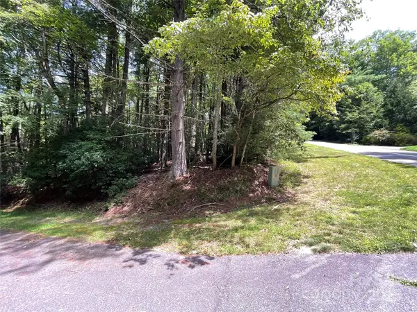 406 Tlvdatsi DR, Brevard, NC 28712