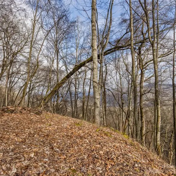 3 Michael DR #3, Waynesville, NC 28785