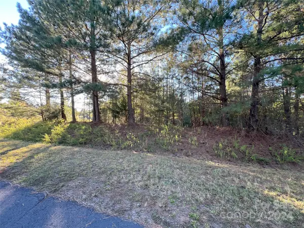 111 River View DR, Mooresboro, NC 28114