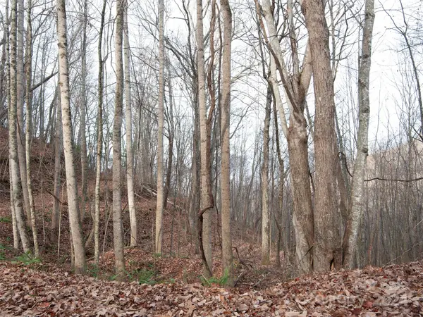 000 Beacon Rock LN #Lot 211, Waynesville, NC 28786