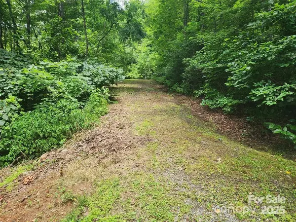 9 Red Leafe TRL, Sylva, NC 28779