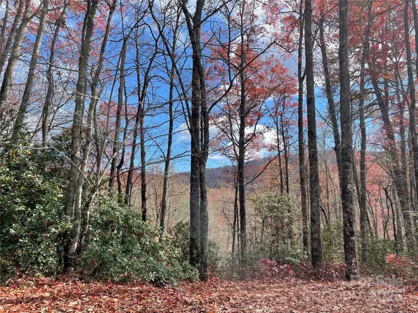 Lot 24 Ridge Trail DR, Balsam Grove, NC 28708