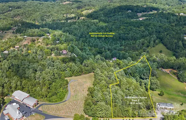 99999 Rocky HOLW #Tract 2, Weaverville, NC 28787