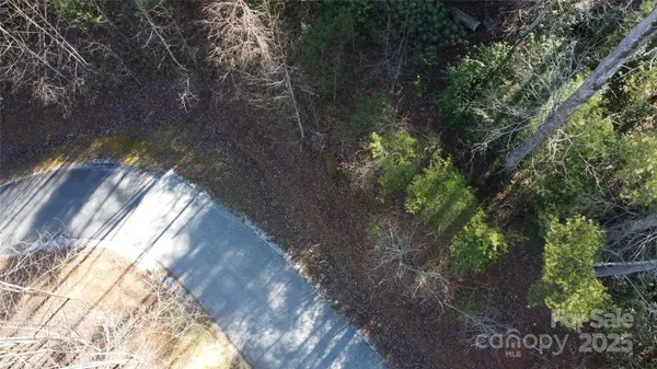 444 Dockside DR #17A, Nebo, NC 28761