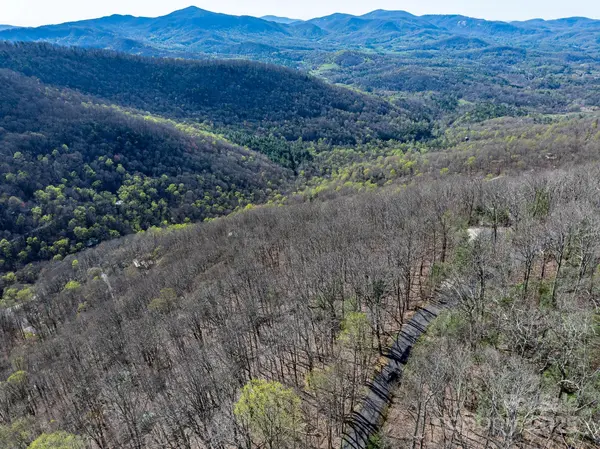 99999 Chestnut Forest RD #412 & #413, Fairview, NC 28730
