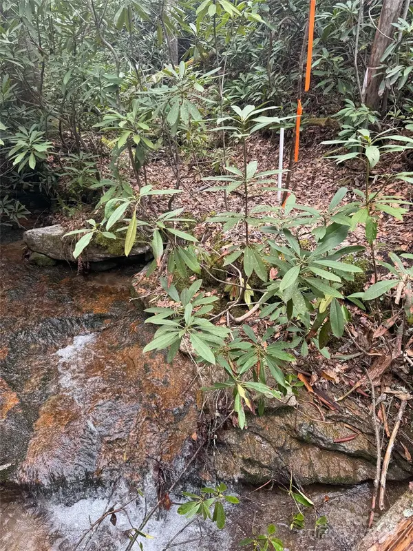 Tract A Cherrywood LN #A, Pisgah Forest, NC 28768