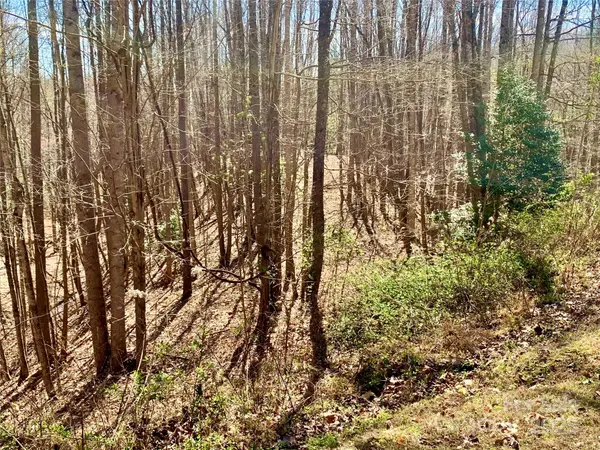 2.78 acres, Lot 84 Round Rock RD #84, Lenoir, NC 28645
