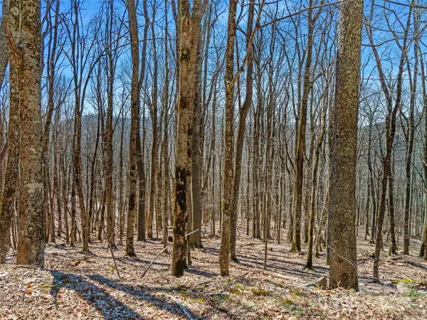 00 Tearshirt LN #308/309, Mars Hill, NC 28754
