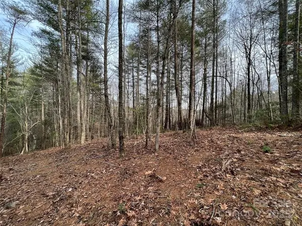 3.16 acres Lot 77, 1712 Round Mountain Pkwy #77, Lenoir, NC 28645