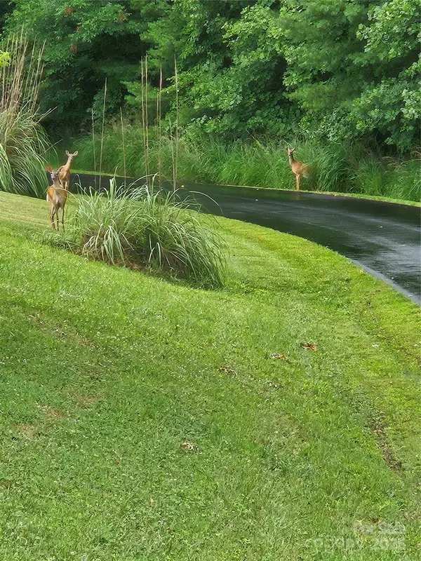 9999 Gabriels Creek RD #40, Mars Hill, NC 28754